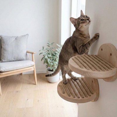 Дерев'яна сходинка напівкругла настінна для кота (дерево, джут) WWD-004 фото